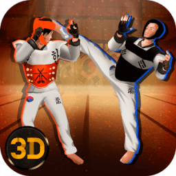 Taekwondo Fighting Tiger 3D icon