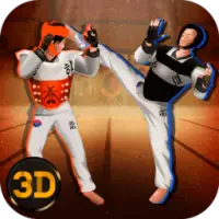 Taekwondo Fighting Tiger 3D