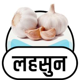 लहसुन के फायदे icon