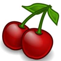 DR Sebi's Alkaline List