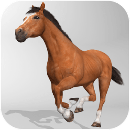 Horse Simulator 3D иконка