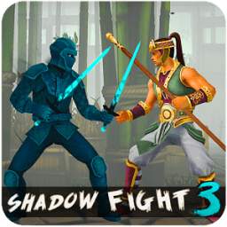 guide for Shadow fight 3 2.0