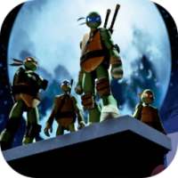 Turtle power ninja logo