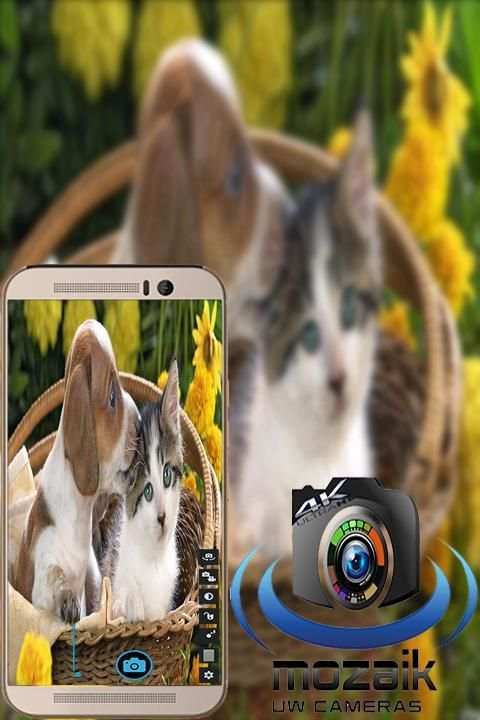 Camera Mozaik screenshot 3
