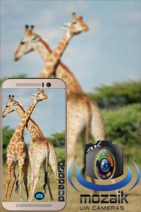 Camera Mozaik screenshot 6