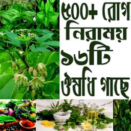 ৫০০+ রোগ নিরাময় ঔষধি গাছ