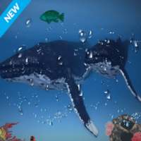 Blue Whale Game:Fish Hunting adventure Underwater