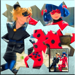 ikon Ladybug Puzzle Game