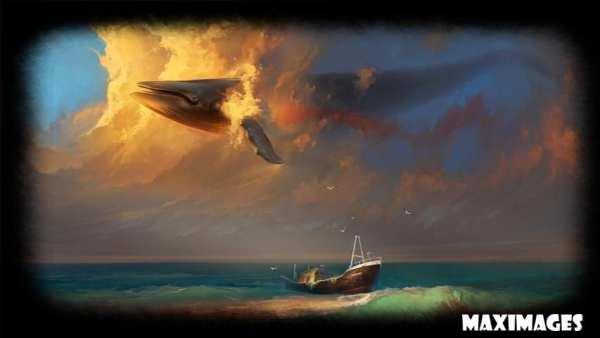 Whale Wallpaper स्क्रीनशॉट 4