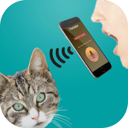 ikon translator for cats simulator