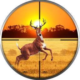 The sniper hunting 3D 1.1
