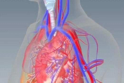 Fundamentals Nursing Review Quiz скриншот 2