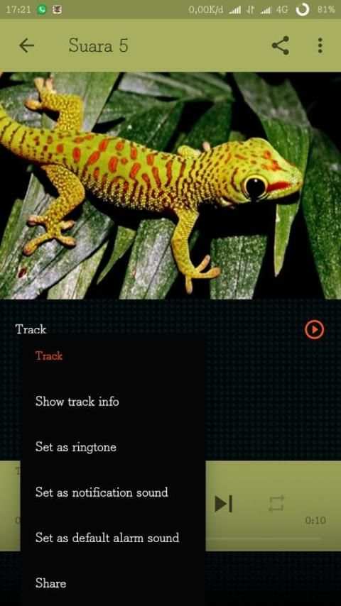 mp3 Suara Tokek 2 تصوير الشاشة
