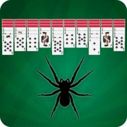 Spider Solitaire : Card Games