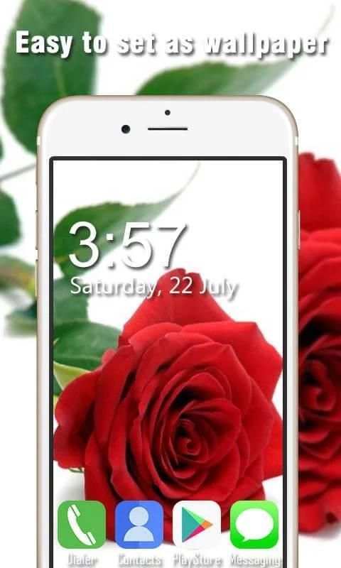 Rose Live Wallpapers HD 4 تصوير الشاشة