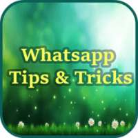 Tips & Tricks For WhatsApp