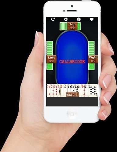 Call Bridge Lite screenshot 15