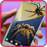 Spider On Screen Prank