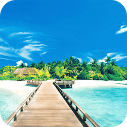 Summer Wallpaper أيقونة