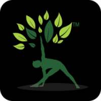 Aura Yoga Studio on 9Apps