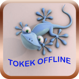 Suara Tokek Mp3 أيقونة