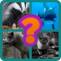 ikon Guess The Names