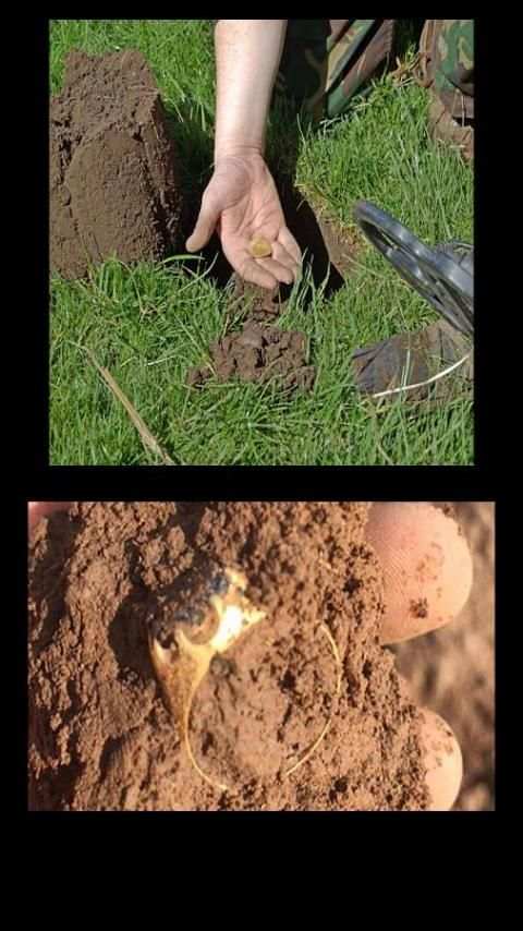 Gold Detector and Metal screenshot 1
