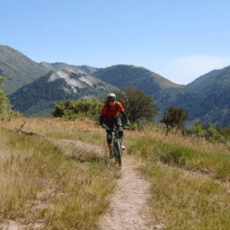 Mountain Bike Mayhem Lite icon