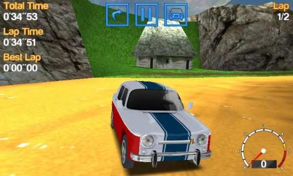 Romanian Racing скриншот 2