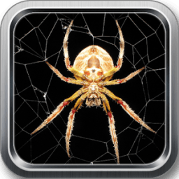 Spider live wallpaper &amp; Lock screen иконка