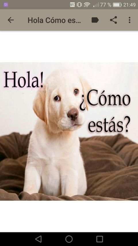 Hola Cómo estás screenshot 7