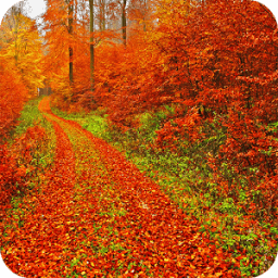 ikon Autumn Wallpaper