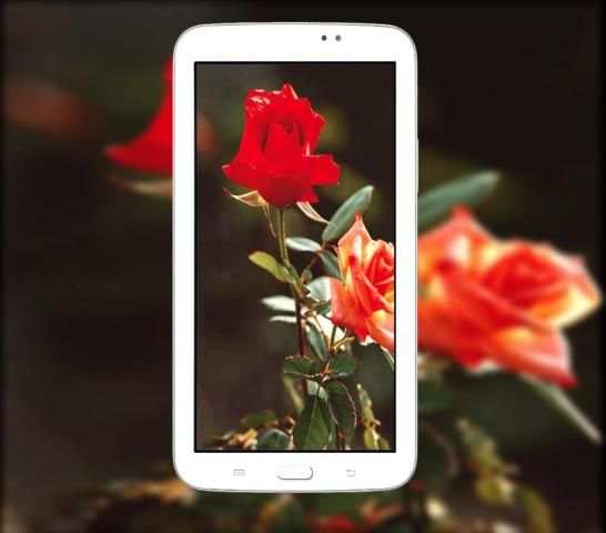 DSLR HD Camera (360) स्क्रीनशॉट 2