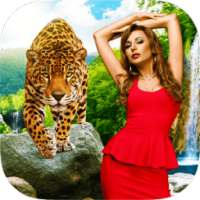 Animal Photo Backgrounds