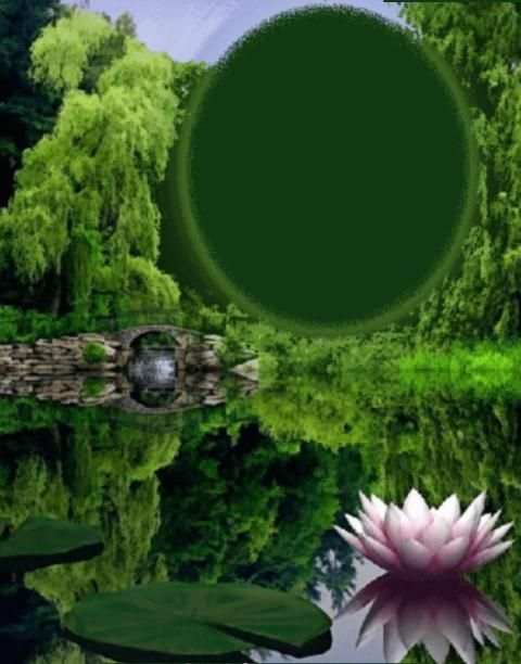 Nature Photo Frames HD скриншот 7