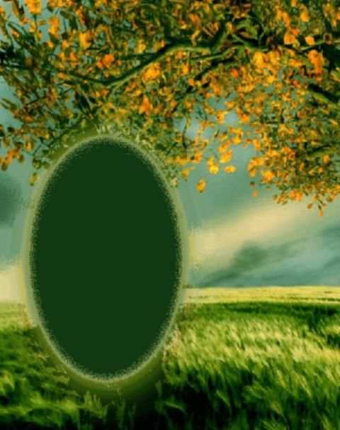 Nature Photo Frames HD 6 تصوير الشاشة