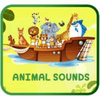 Animal Sounds