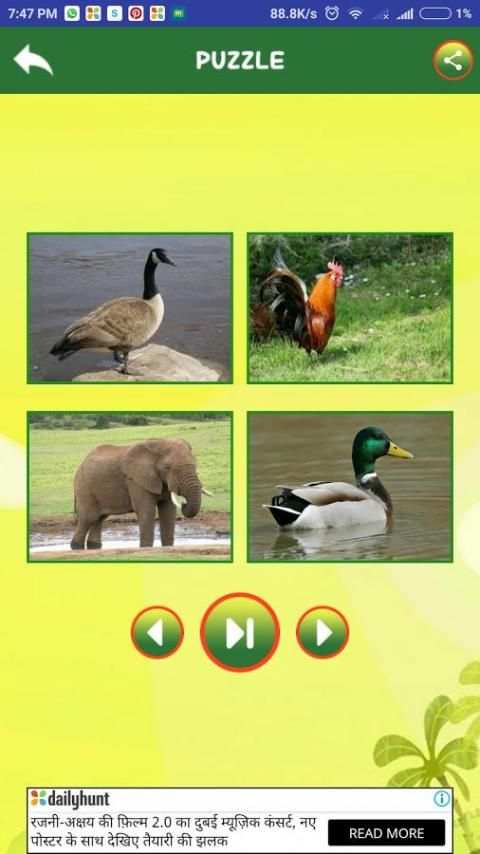 Animal Sounds скриншот 3