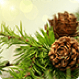 Елочки Живые Обои HD icon