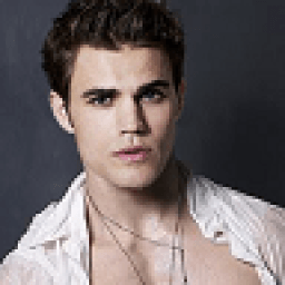 Stefan Salvatore Wallpapers иконка