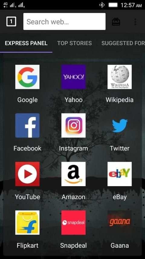 Connect Web Browser स्क्रीनशॉट 5