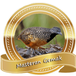 Masteran Burung Gemak icon