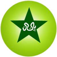 Pakistan Cricket Scores