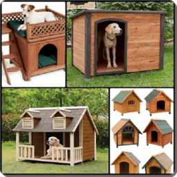 Dog House Design New icon