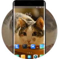 Theme for Xolo Q1100 Cat Wallpaper