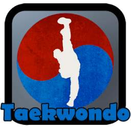 Taekwondo Kicks Videos - Offline