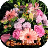 Día de las madres. Postales on 9Apps