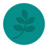ShareMe -Hindi Marathi SMS App