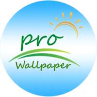 Pro Wallpaper HD