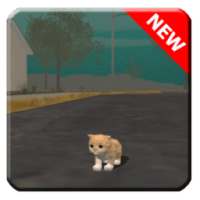 Advice for Cat Sim Online: Play with Cats on 9Apps